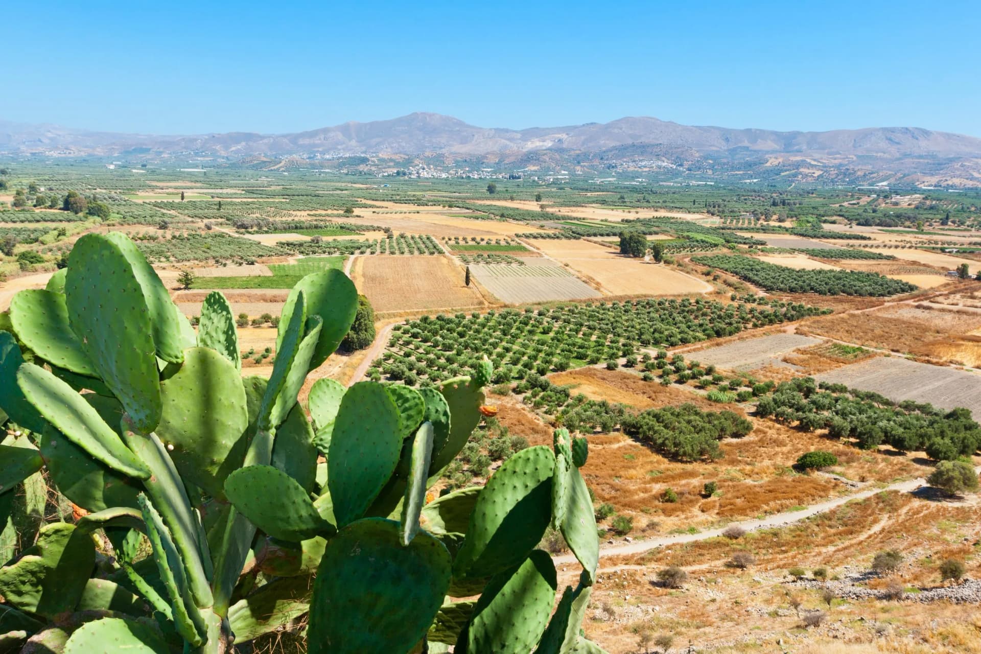 Messara plain. Crete, Greece