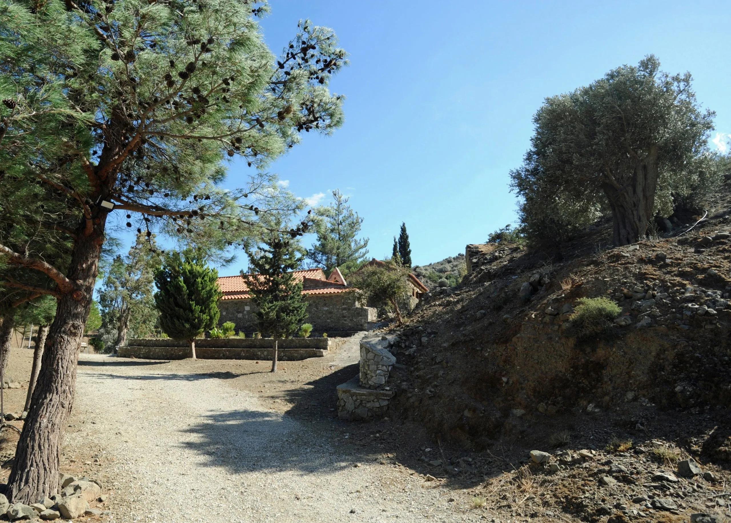 Day 5 image 2