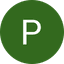 White letter P on dark green circle icon, possibly for parking or public transport.