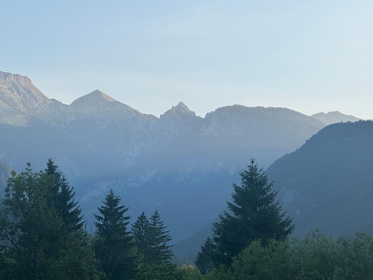 Layered mountain range with hazy blue valleys and dark green pine trees in the foreground.