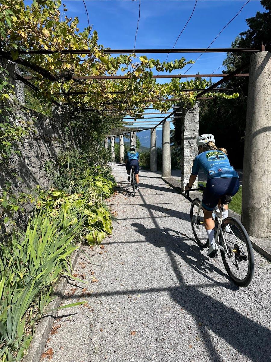 Cyclists riding under a grape arbor on a sunny day with distant mountains visible