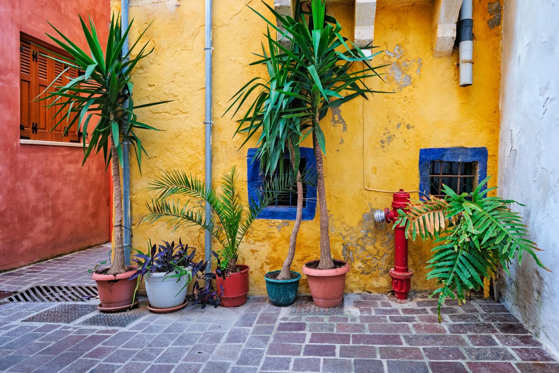 Scenic picturesque streets of Chania venetian town. Chania, Creete, Greece