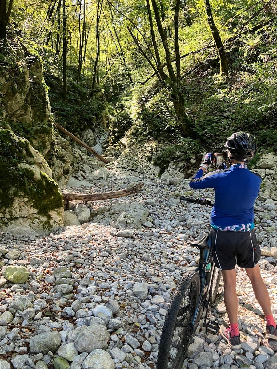 Mountain biker photographing rocky dry riverbed in dense forest setting