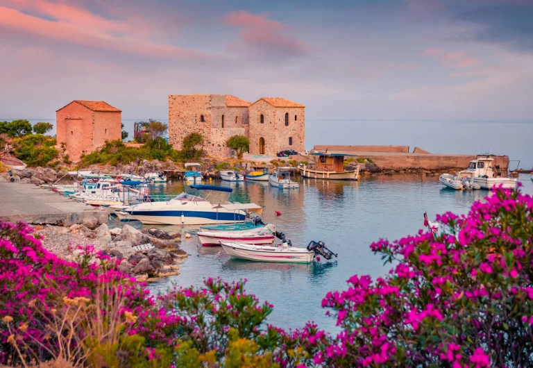 Blooming pink flower on the shore of Kardamyli port with St. John church and Old Customs of Kardamili on bacgroynd. Beautiful morning scene of Peloponnese peninsula, Greece, Europe.